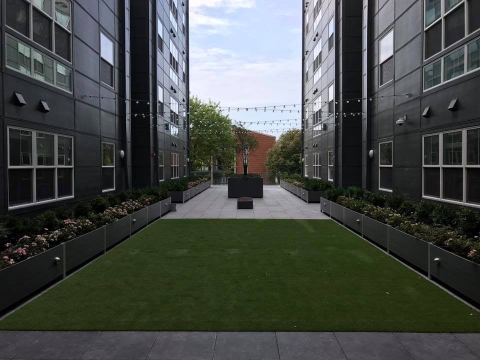 Campus Building Entertaining Roof Space